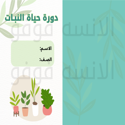 مطوية دورة حياة النباتات – مادة العلوم صف ثالث ابتدائي