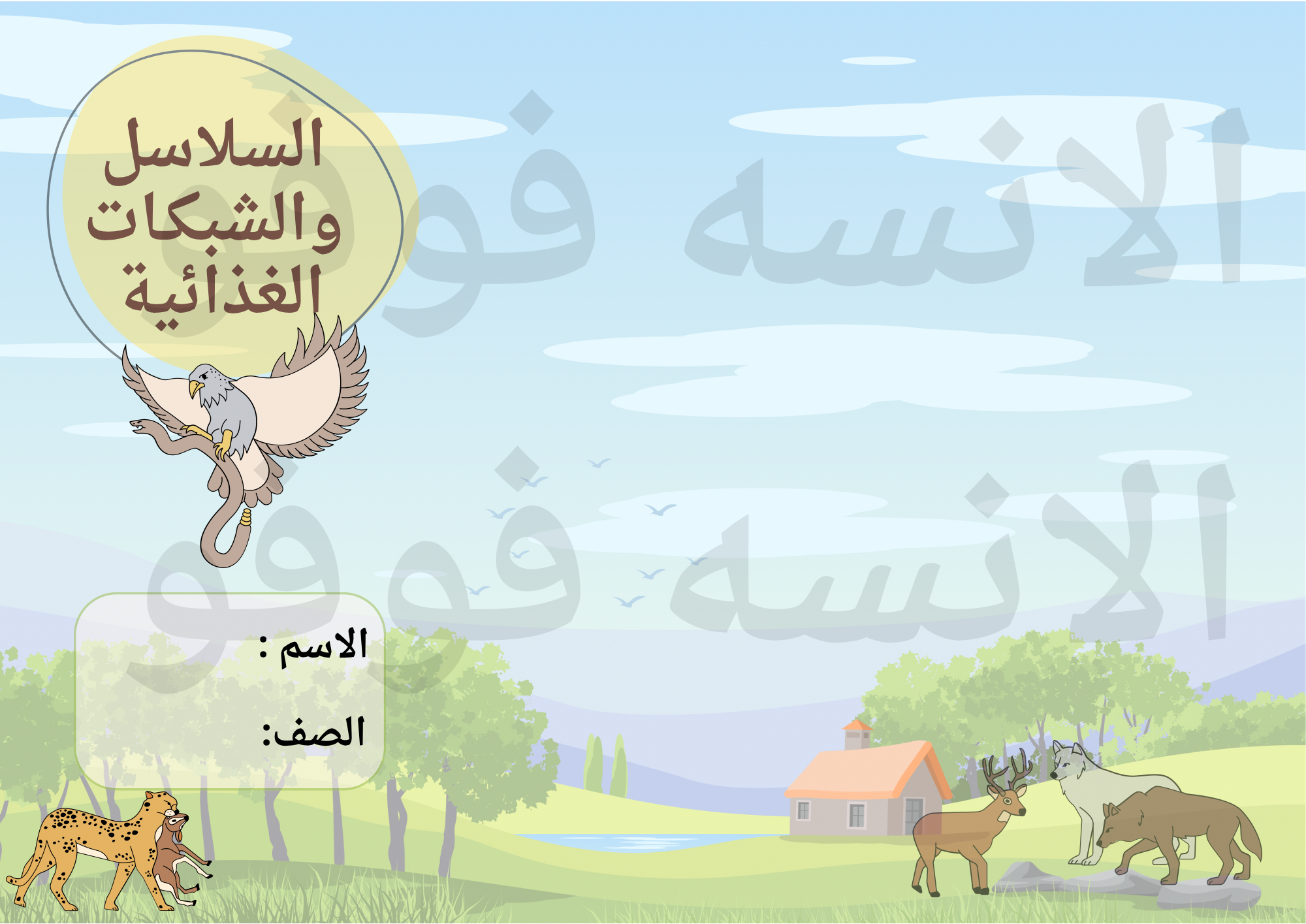 مطوية السلاسل والشبكات الغذائية صف ثالث