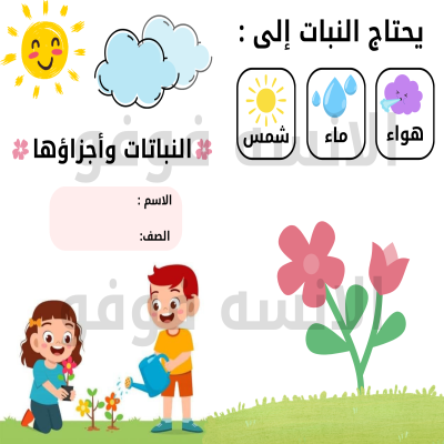 مطوية أجزاء النبات 🌱 | علوم أول ابتدائي