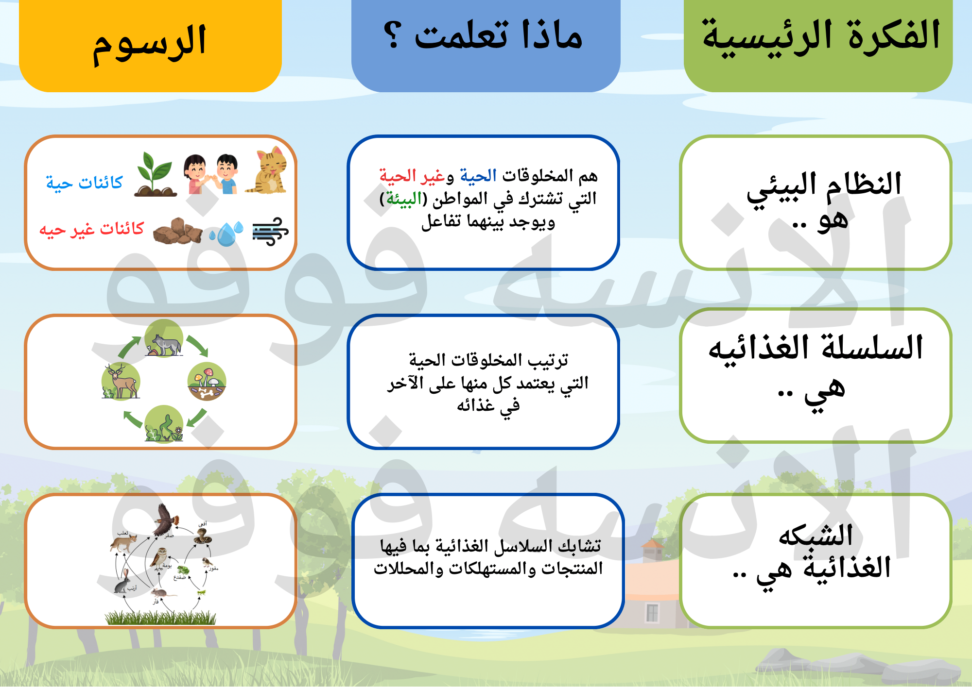 مطوية السلاسل الغذائية والشبكات للصف الثالث ✨🌹