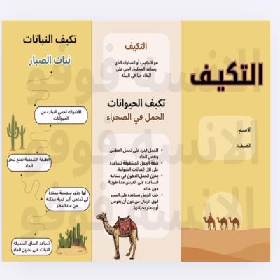 مطوية التكيف للصف الثالث الابتدائي 